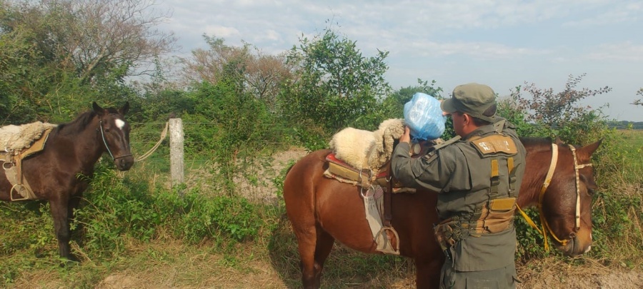 Menores transportaban marihuana a caballo: Los adolescentes manifestaron que debían hacer entrega del estupefaciente a otra persona