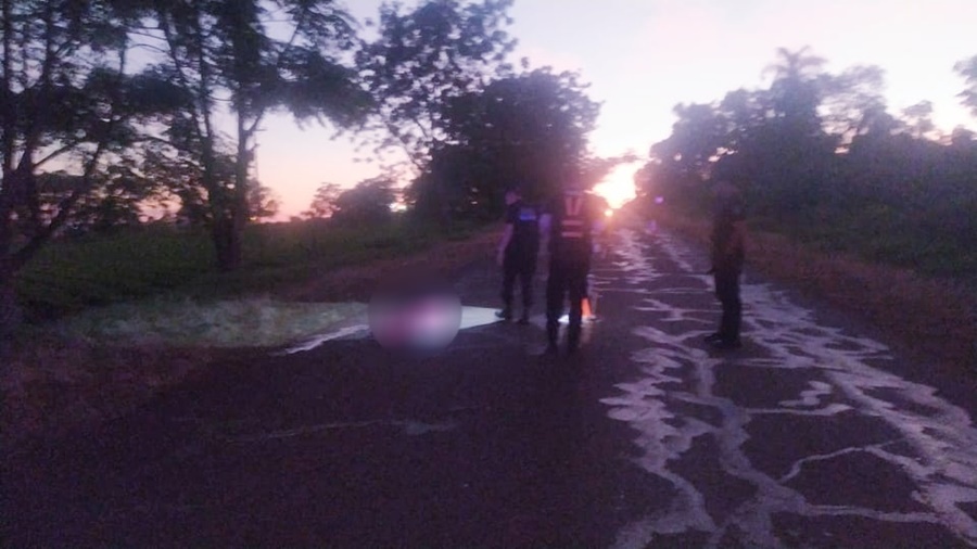 Misiones: Peatón 37 años murió atropellado por conductor que huyó del lugar, fue sobre la Ruta Provincial N° 7 en Jardín América