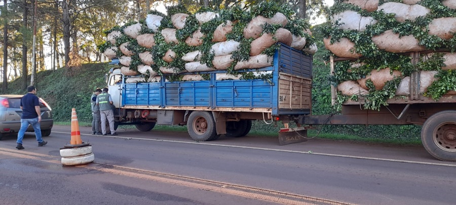Misiones: El INYM profundiza los operativos de control desde el inicio de la zafra gruesa