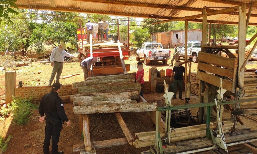 Misiones: Secuestraron gran cantidad de madera nativa extraída y comercializada ilegalmente en Eldorado