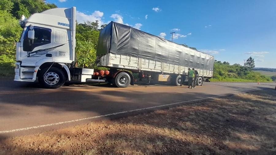 Misiones: Gendarmería Nacional, incautó 113.685 kilogramos de granos de soja y secuestró dos camiones en Ruta Provincial N° 2