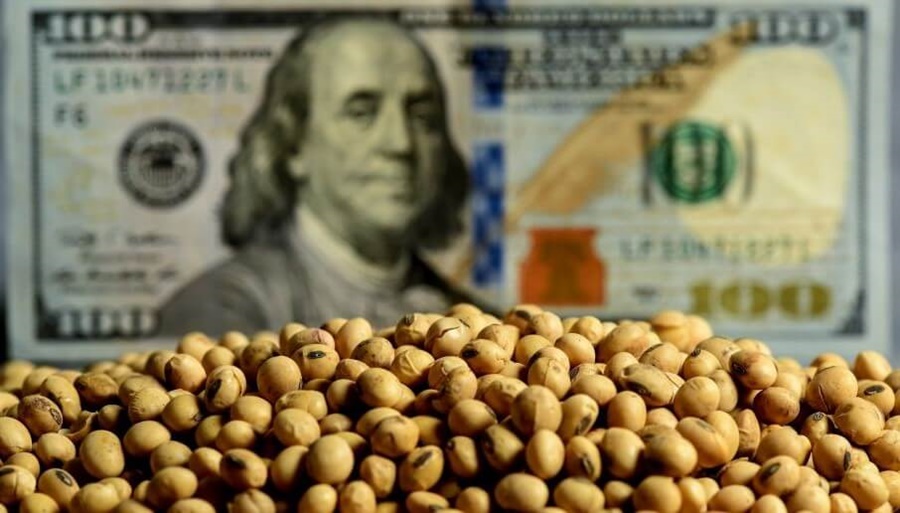 Cautela en el agro ante el anuncio del nuevo “dólar soja”