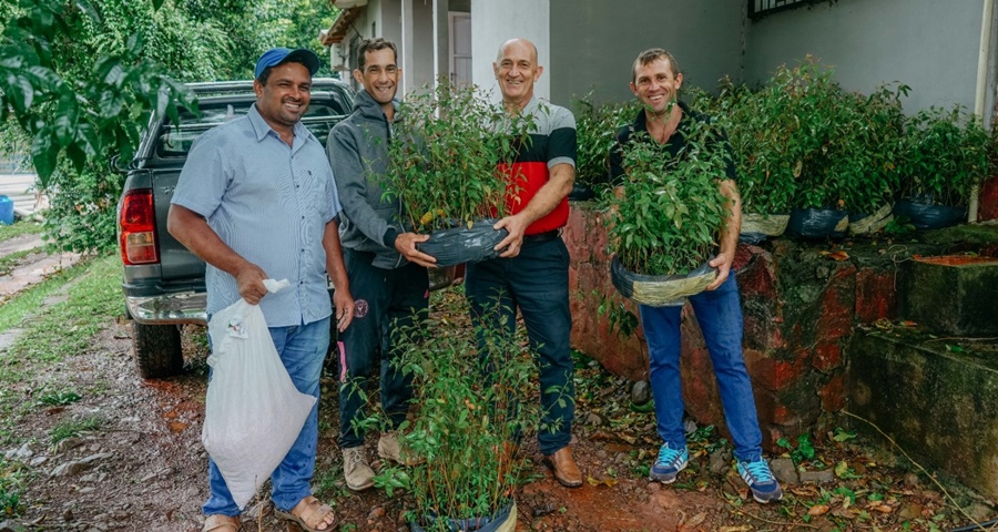 Acompañan a pequeños productores de la forestoindustria misionera