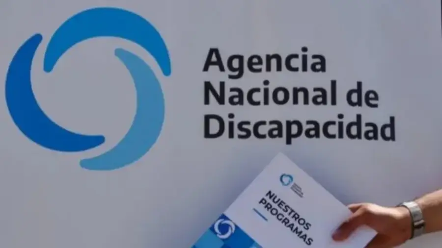 Gobierno Nacional denunció irregularidades en la entrega de pensiones por discapacidad: La investigación fue llevada a cabo por el Ministerio de Seguridad, a cargo de Mario Russo