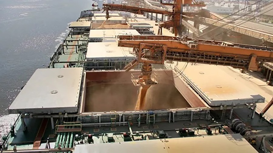 Crece más del 60% la liquidación de divisas de los agroexportadores en Enero