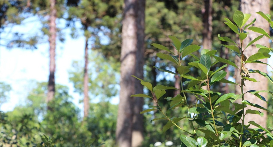 El INYM se capacita en producción orgánica