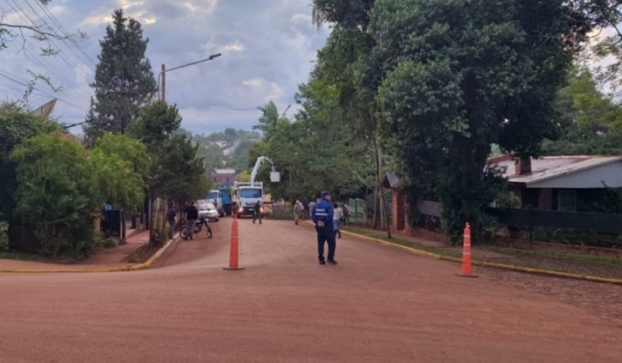 Energía de Misiones avanza con obras de mejora en el sistema eléctrico en la localidad de Comandante Andresito