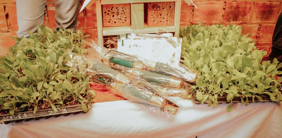 Misiones: Lanzaron un programa de capacitaciones en huertas urbanas y rurales fortaleciendo el compromiso con la sostenibilidad de la seguridad alimentaria