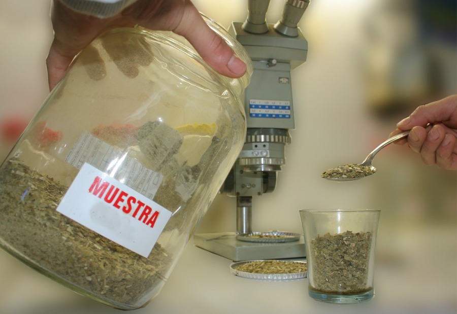 El INYM inutilizó yerba mate no apta para el consumo humano