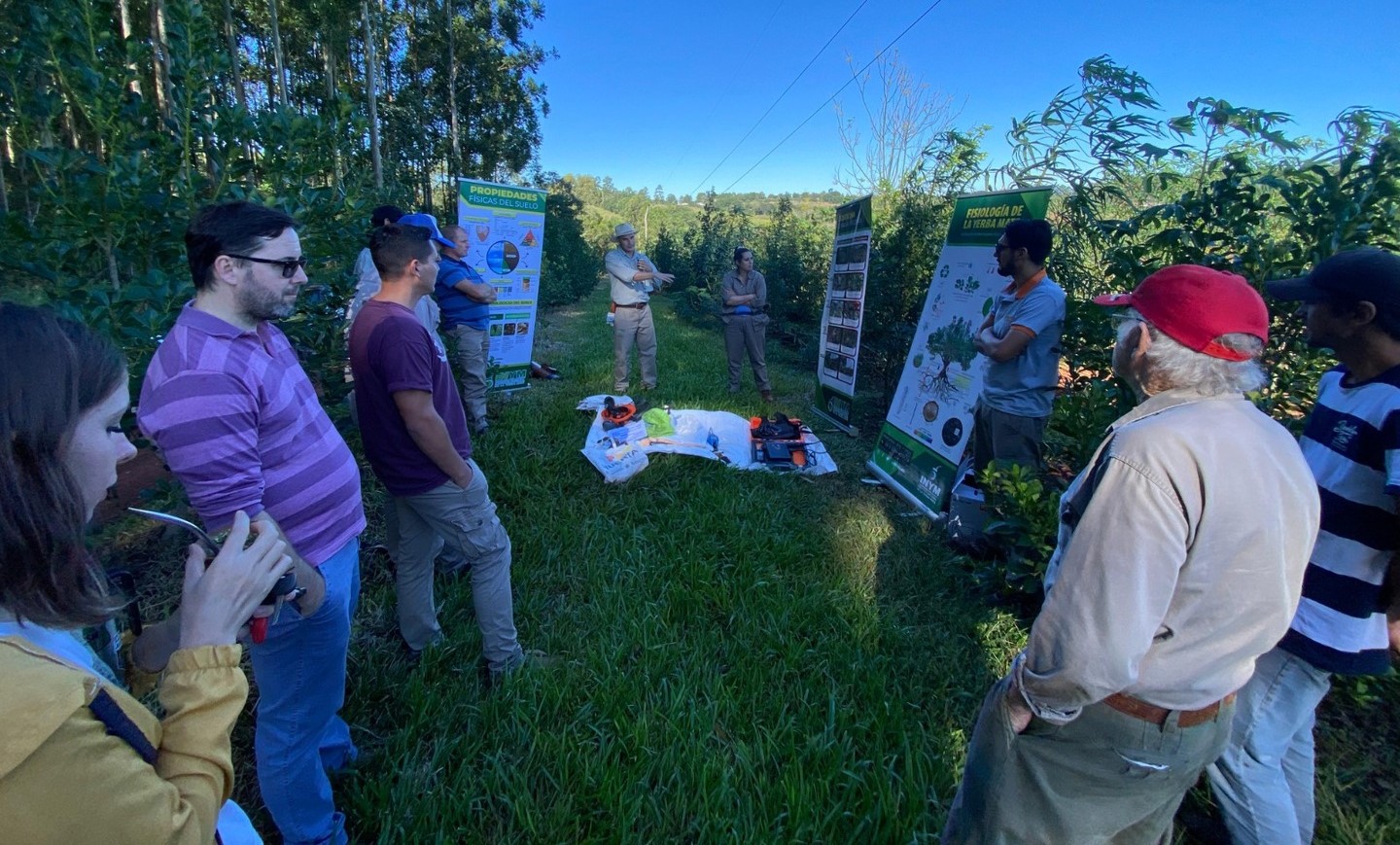 Yerba Mate: Capacitación para mejorar la productividad en el Municipio misionero de 25 de Mayo, fue una jornada intensa y productiva compartieron los productores