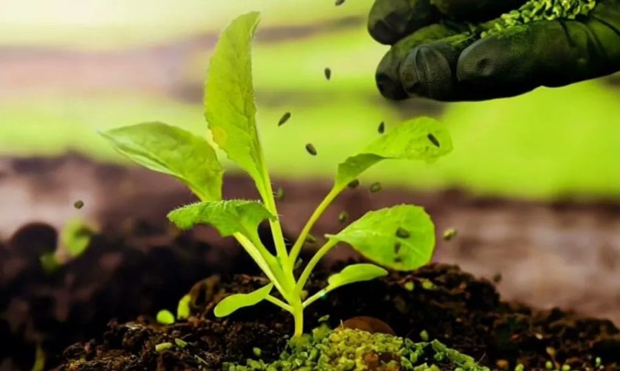 La Biofábrica de Misiones presentó sus avances en bioinsumos en el Encuentro Nacional de Biotecnología