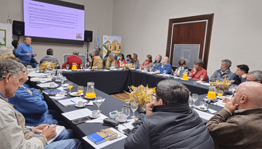 Reducir o eliminar las retenciones al maíz: Un pedido del NOA ante la crisis de la Chicharrita