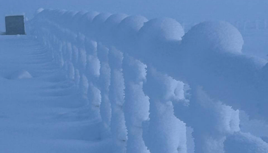 El invierno inicia con vientos polares que “producirán mínimas bajo lo normal”