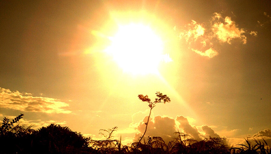 “El comienzo del mes de Agosto más cálido en 117 años”: Los datos de la ola de calor en pleno invierno