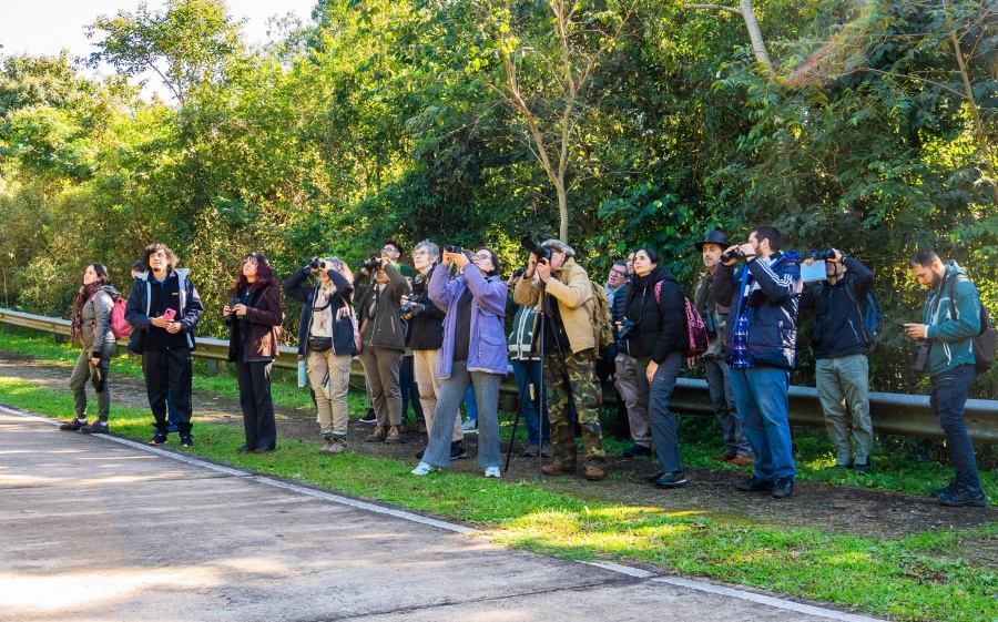 Misiones: Exitosa jornada de observación de aves en libertad