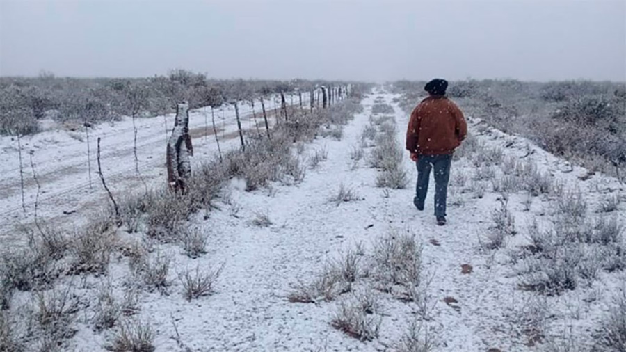 Alerta por posibles nevadas tempranas en el sur de la Región Pampeana