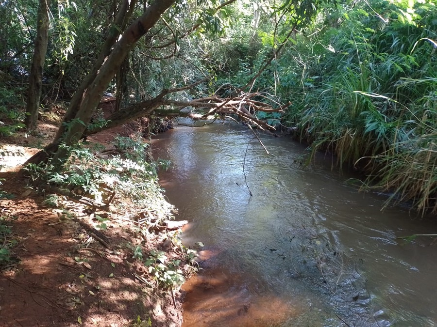 Misiones: Niña de un año y cuatro meses de edad murió ahogada en arroyo de Andresito