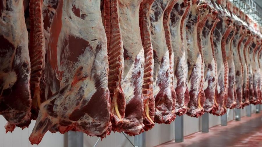 La faena bovina sube casi 10% durante el mes de Julio