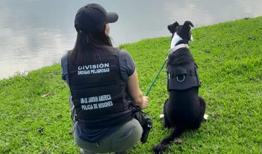 "Aina", el nuevo can antinarcóticos que trabaja con la Policía de Misiones