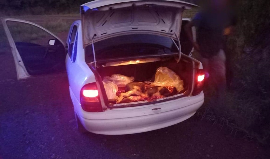 Abigeato: En la noche de ayer se logró la detención de seis personas, "en infraganti" con carne porcina faenada de un conocido productor del Municipio misionero de Fachinal