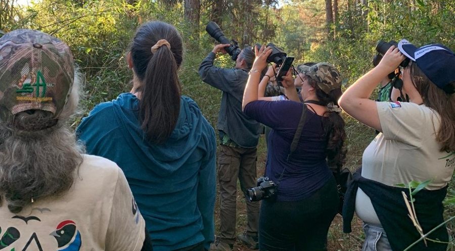 Misiones: Observación de aves y educación ambiental en la Fiesta Colonial del Municipio de  Ruíz de Montoya