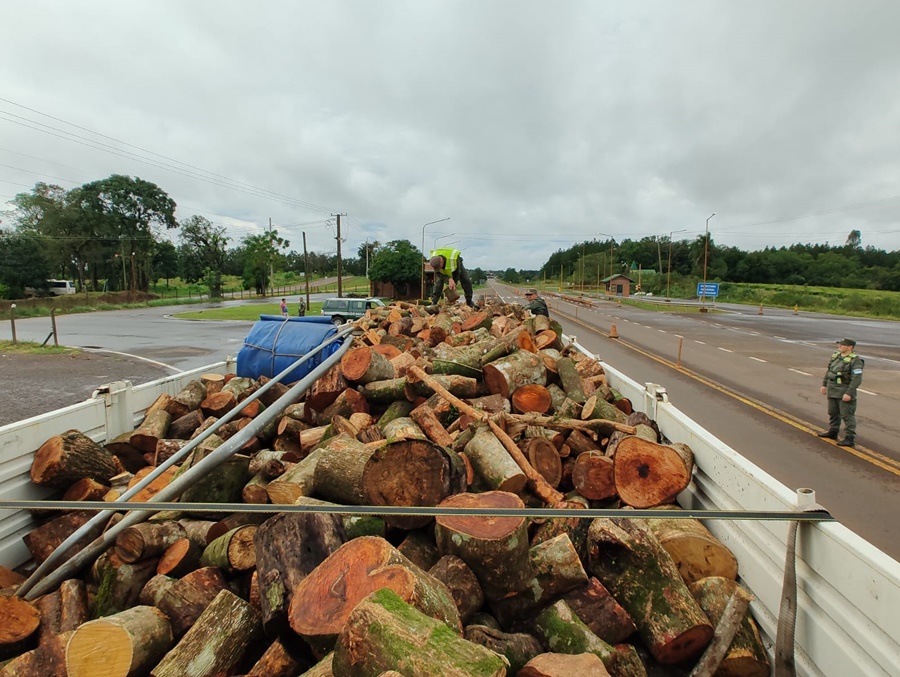 Gendarmería Nacional detuvo la marcha de camión que transportaba madera nativa