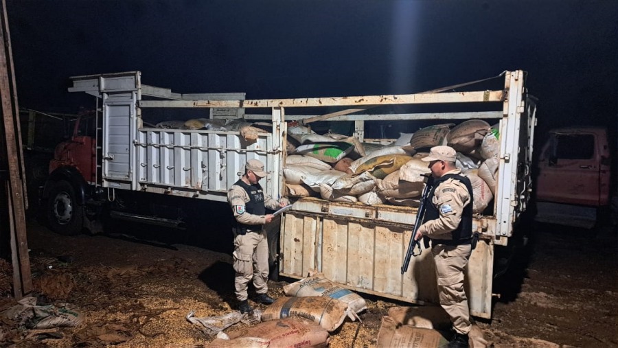 Misiones: Prefectura Naval Argentina secuestró más de 13 toneladas de soja