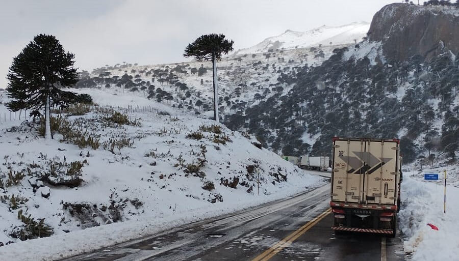 Camiones varados en Chile: Transportistas piden a Aduana y SENASA que agilicen el paso por Neuquén