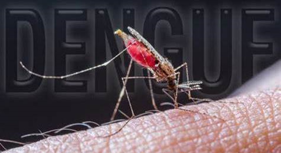 Viajes en épocas de Fiestas: Salud Pública reitera a los viajeros tomar precauciones para evitar casos de Dengue, Chikunguña y Zika