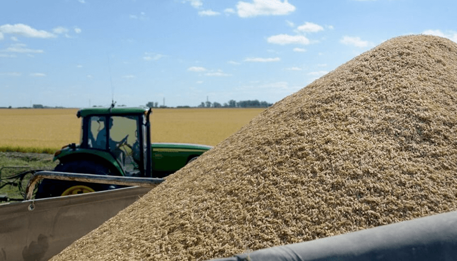 Argentina, líder en la tabla de los pocos países donde el campo pierde recursos en manos del Estado