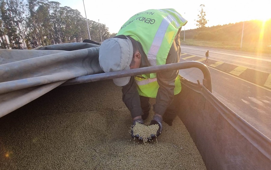 Gendarmería Nacional secuestró 180 toneladas de granos, que fueron producto de sucesivos procedimientos durante el fin de semana
