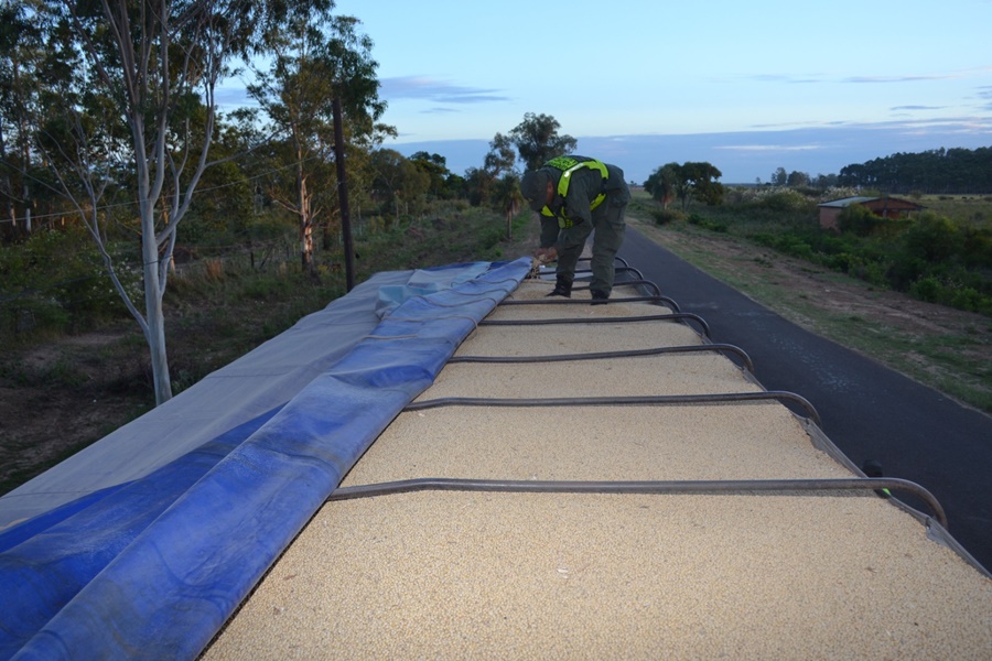 Corrientes: Gendarmería Nacional logró incautación de dos transportes de cargas que pretendían trasladar soja a granel, hacia Misiones, sin la documentación respaldatoria