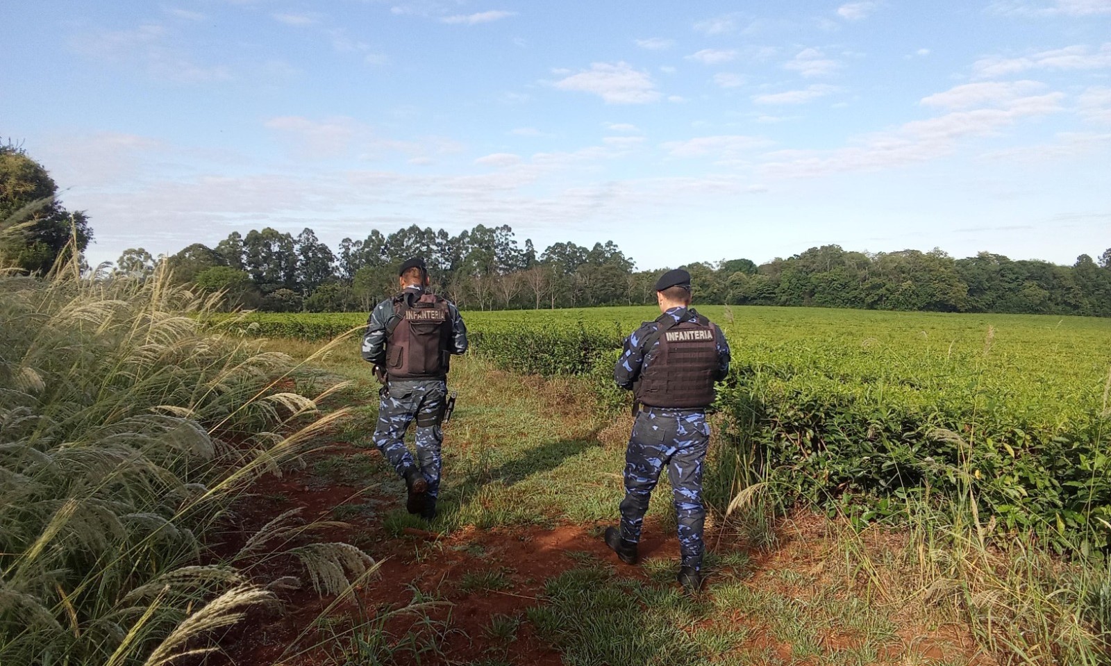 La Policía de Misiones refuerza la seguridad en las zonas rurales con un despliegue de efectivos, enfocados en la protección de cultivos y la conservación de la selva nativa