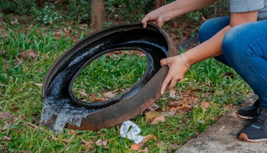 Posadas: Continúan las acciones de prevención del Dengue, mediante tareas de descacharrado, fumigación, bloqueos epidemiológicos y charlas informativas