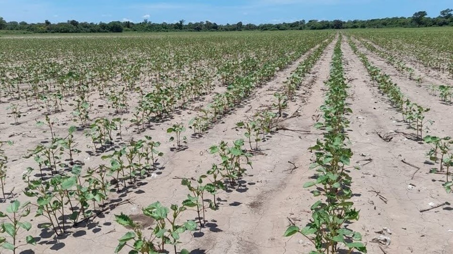 El dato llamativo de la sequía en 2022: No es una de las más grandes de la historia
