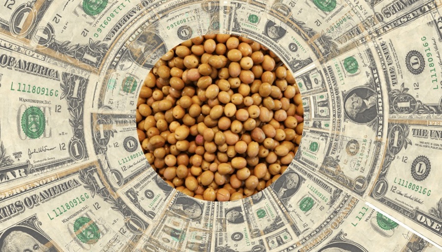 Comenzó a regir el nuevo “dólar soja”: ¿Habrá un tipo de cambio diferencial?