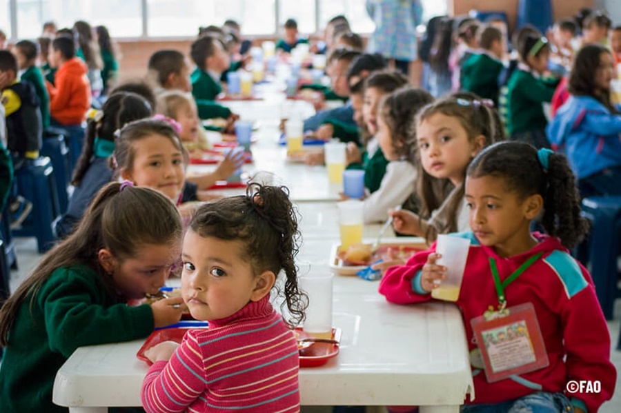 En América Latina y el Caribe, un 22,5% de la población no puede acceder a una dieta saludable