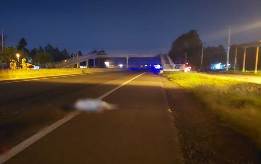 Falleció un peatón tras ser embestido sobre la Ruta Nacional N° 12 por un automóvil en Candelaria