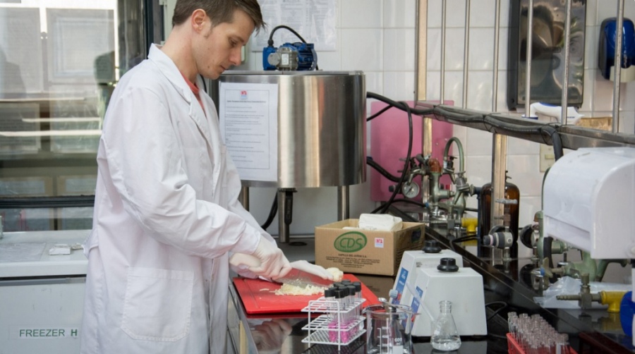 Qué beneficios aporta el queso con fitoesteroles y antioxidantes naturales