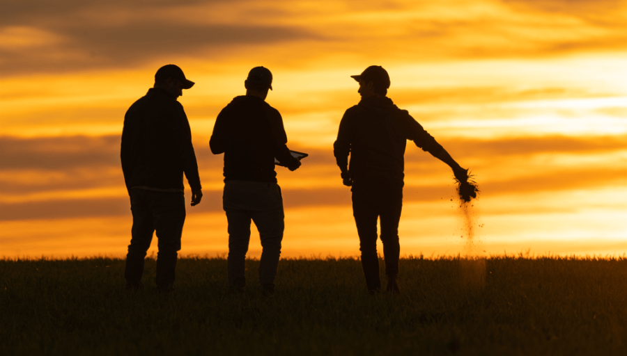 Empresas familiares en el agro: Los desafíos de la profesionalización y el recambio generacional