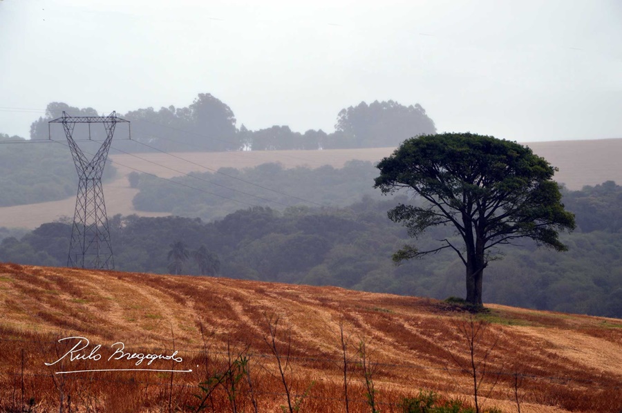 Kaapuera advierte que los daños que traen las intensas lluvias están vinculadas con la pérdida de selva y represas