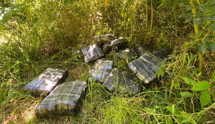 Misiones: Gendarmería Nacional realizó una importante incautación de estupefacientes, estaba oculto entre la vegetación