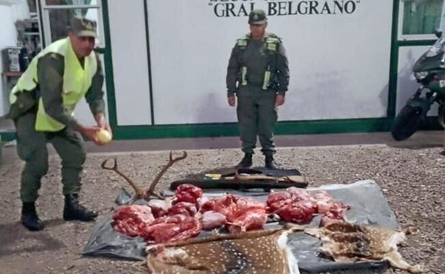Cazadores furtivos llevaban carne faenada, cueros y un huevo de ñandú, además, el personal de Gendarmería Nacional incautó armamento junto con municiones