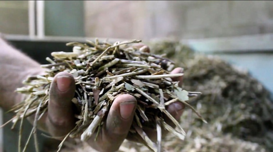 Capacitan a profesionales en la implementación de la normativa orgánica