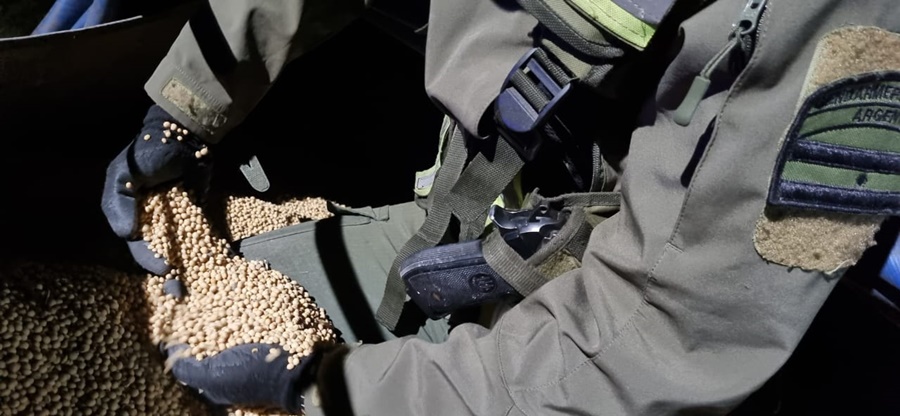 Integrantes de Gendarmería Nacional en Corrientes, realizaron incautación de soja a granel sin el correspondiente aval aduanero