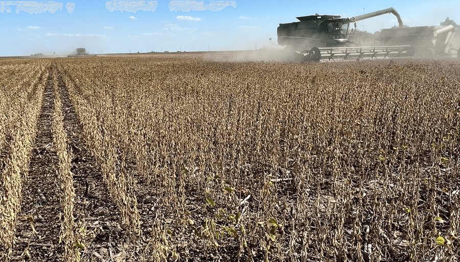 El daño de la sequía: El PBI del agro tuvo su mayor caída en 14 años