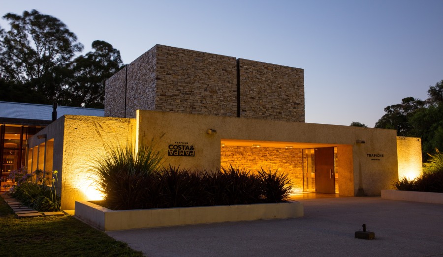 Bodega Trapiche Costa & Pampa: Una década de innovación y calidad en la viticultura Atlántica