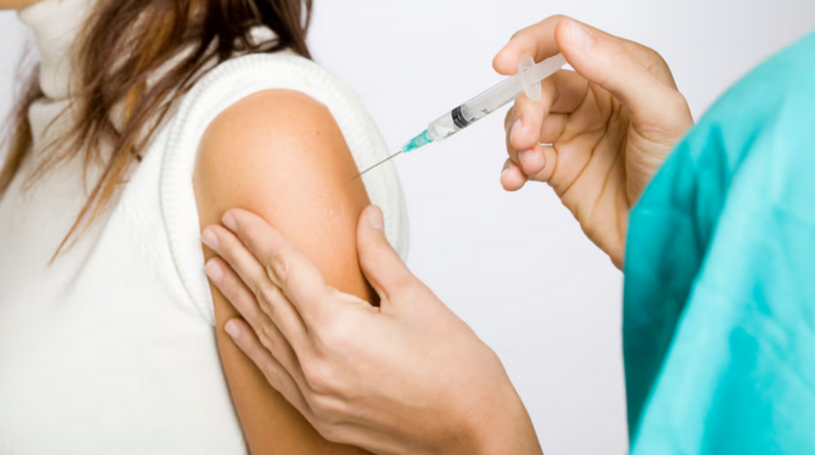 Apóstoles: Vacunación contra el Dengue, la campaña se llevará a cabo el lunes 27 de Enero en el Salón Vidriado de la Expo Yerba