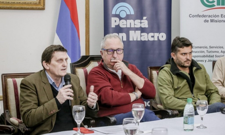 Misiones: Lanzaron una nueva línea de créditos para el sector tealero, con una tasa del 38% de interés bonificada por la Provincia