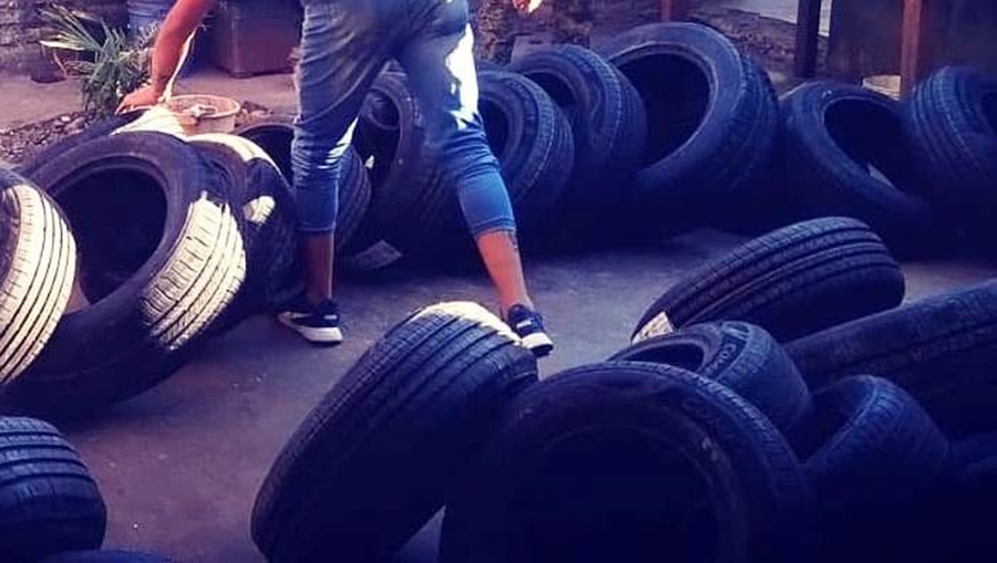 Mega allanamiento: Policías Provinciales incautaron neumáticos de contrabando valuados en casi 50 millones de pesos